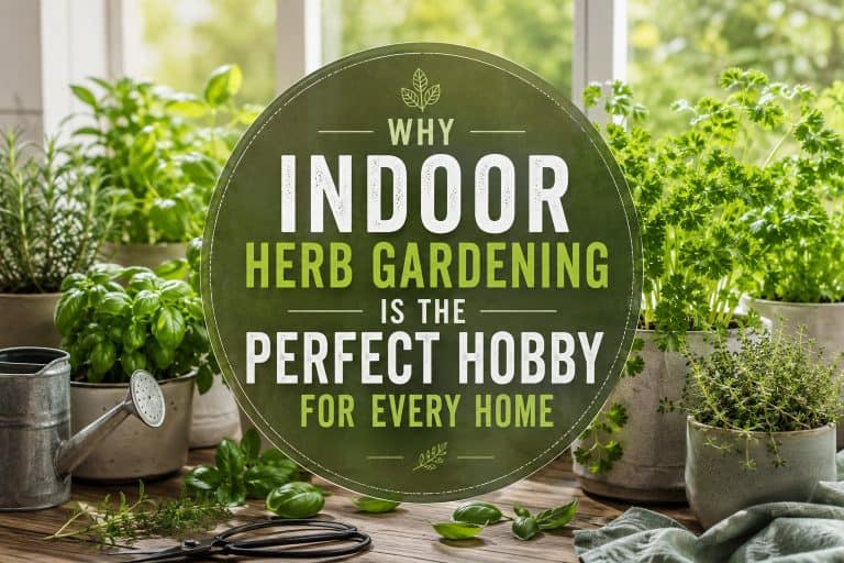 Indoor herb gardening on a sunny kitchen windowsill with fresh basil, parsley, rosemary and thyme showing why indoor herb gardening is the perfect hobby.